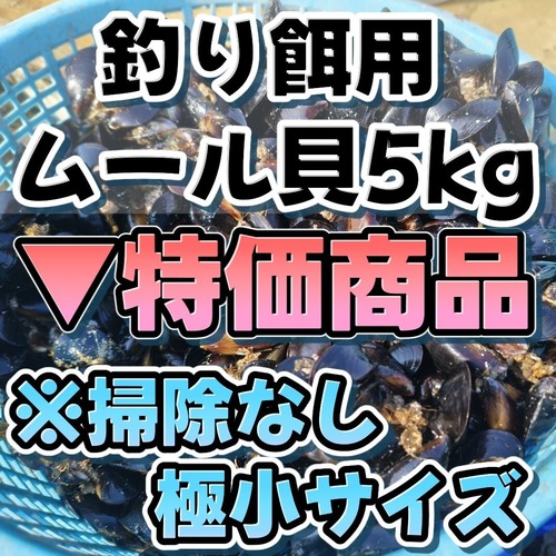 【特価：付着物有り】■1箱：5kg入り【釣り餌用 ムール貝】（無選別/サイズ極小/掃除なし）