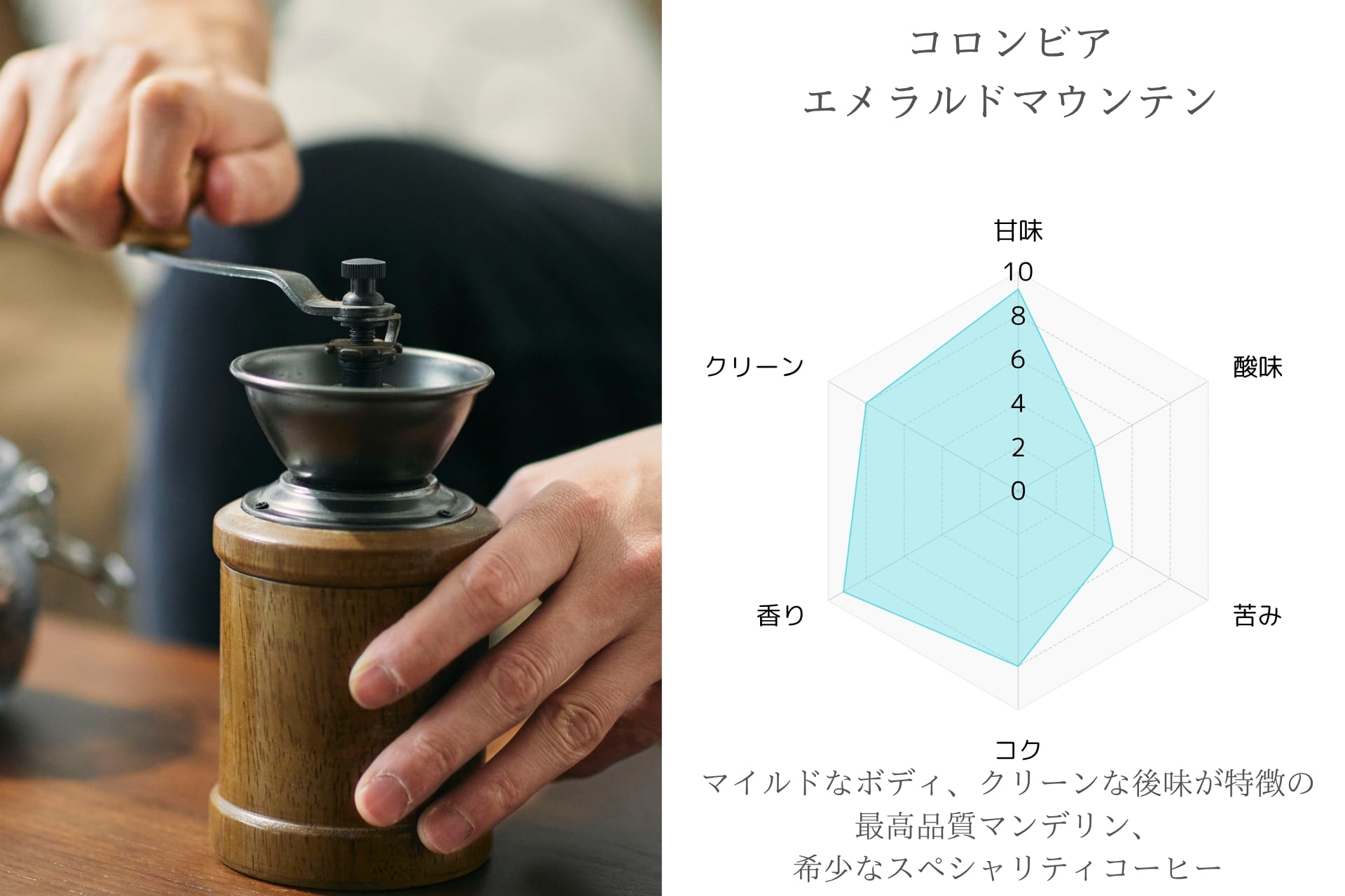 ＼新登場／AdaptoLatte★ アダプトラテ コーヒーブラック＋ホイッパー 新登場／AdaptoLatte☆ アダプトラテ コーヒーブラック＋ホイッパー