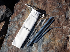 Stainless straws