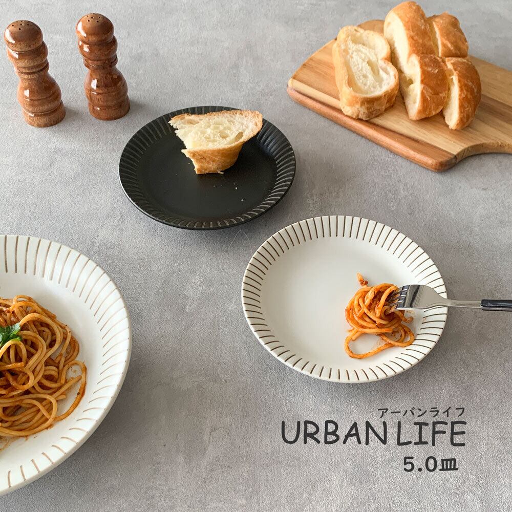 ★希少★ 【パラディアン】 アクセントハウス プレート 21cm✖️2枚 ☆希少☆ 【パラディアン】 アクセントハウス プレート 21cm✖️2枚