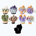 珍奇植物フィギュアBOX vol.5 | YOAKE GREEN SHOP
