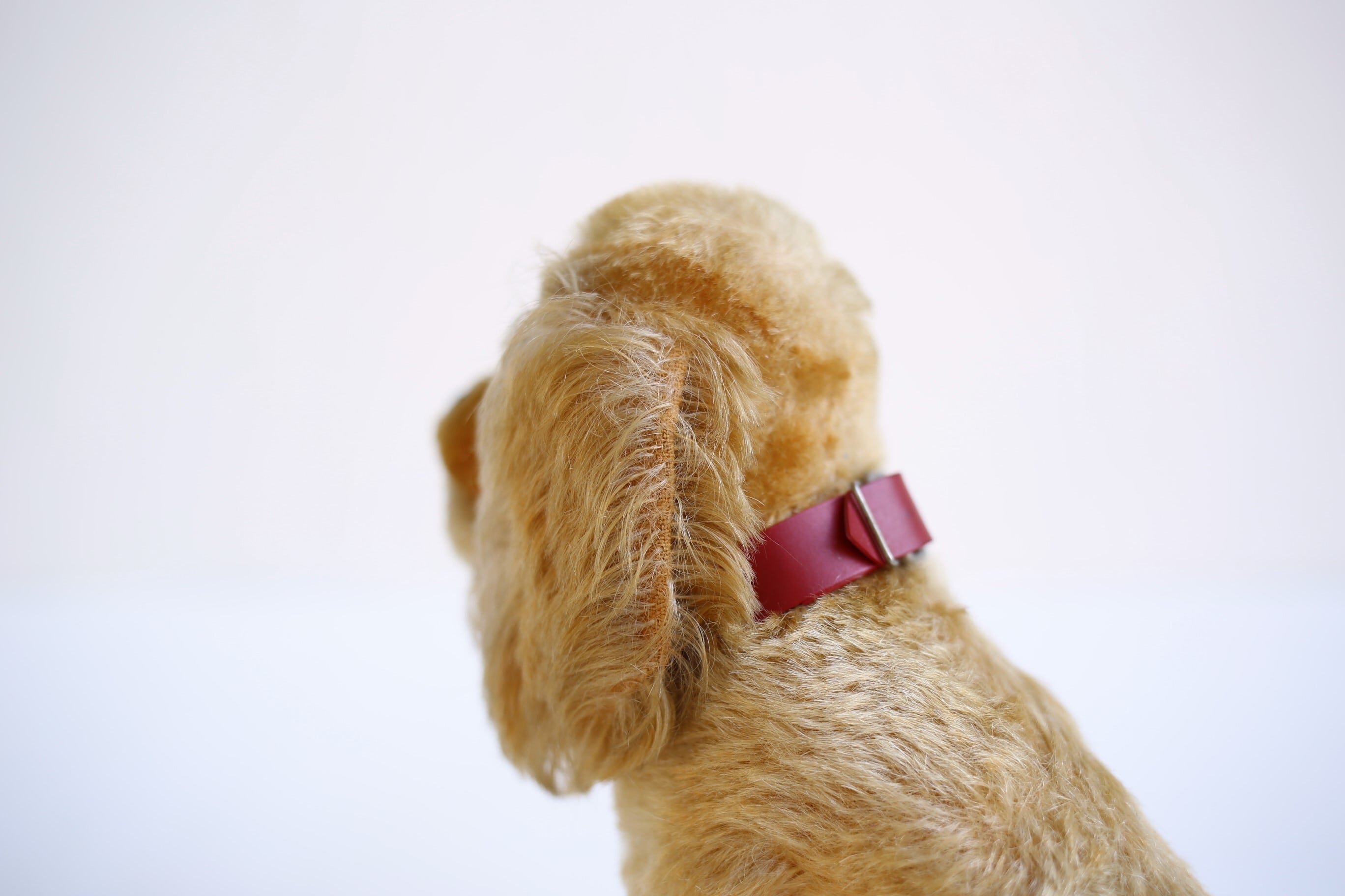 ドイツ ヴィンテージ Steiff シュタイフ コッカースパニエル『REVUE