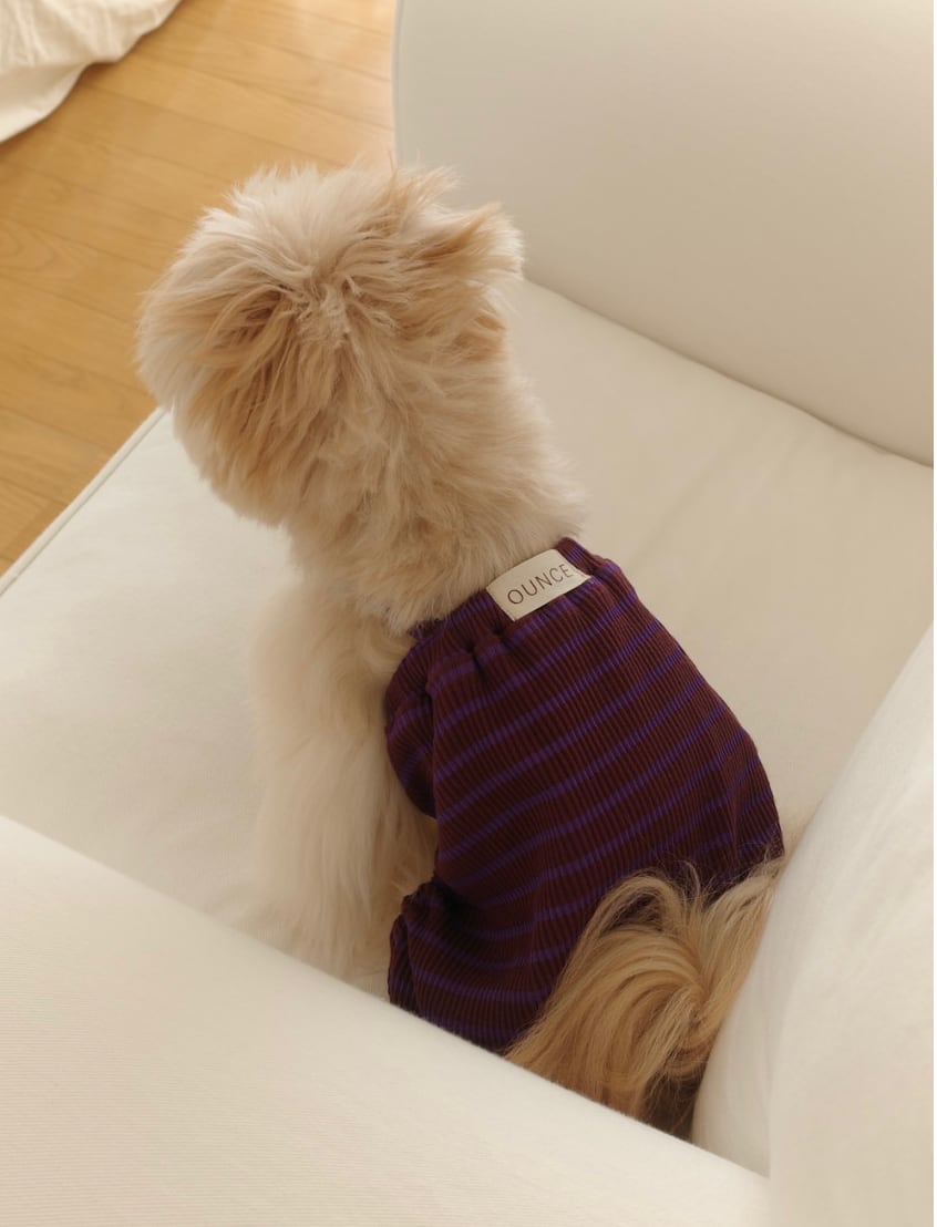予約【ounce】STRIPE BUNNY ALL IN ONE (purple)