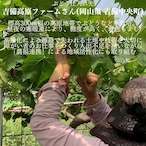 【10セット特割】いいものセレクション和紅茶セット（無添加•岡山県産 5種入り ドライフルーツ王様のおやつ)