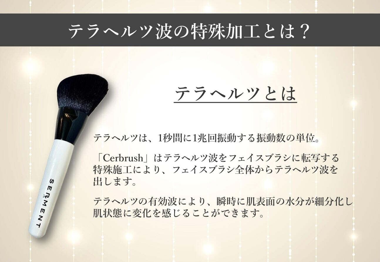 セルマンブラシ セルマン セルブラッシュ 【テラヘルツブラシ】 | foryounetshop