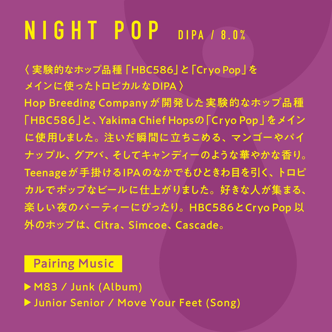 ＜Night Pop //ナイトポップ＞ 500ml缶