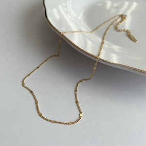 pedal chain necklace シルバーネックレス