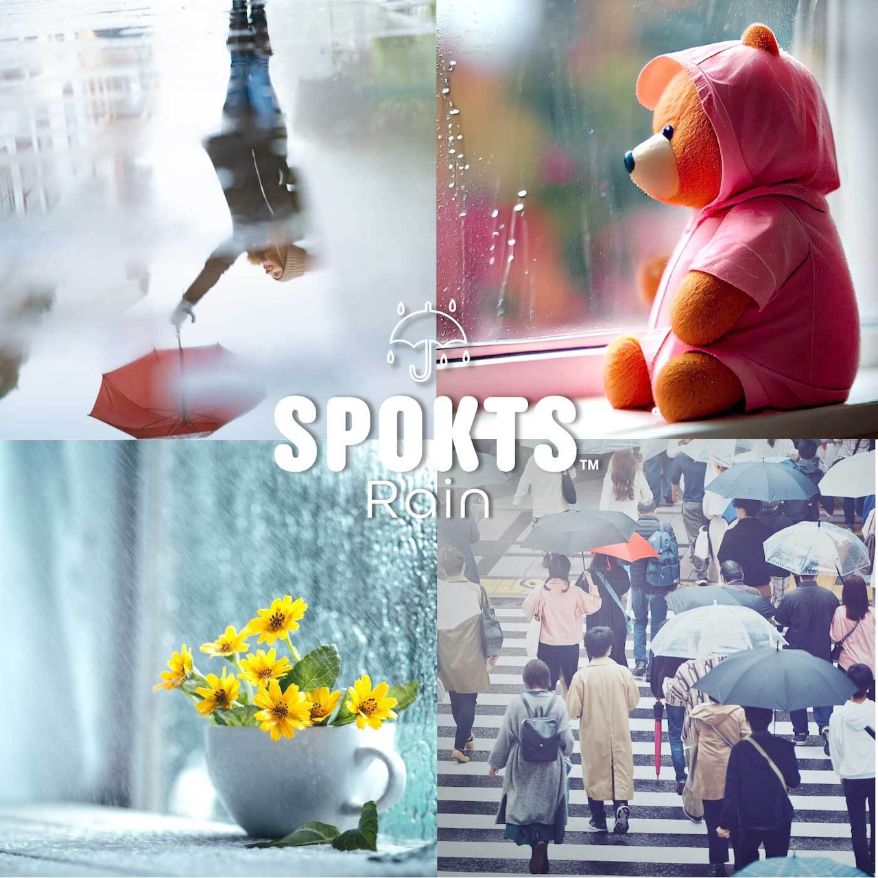 SPOKTS スポックツ レインブーツ サイドゴア レディース RAIN-001 3カラー