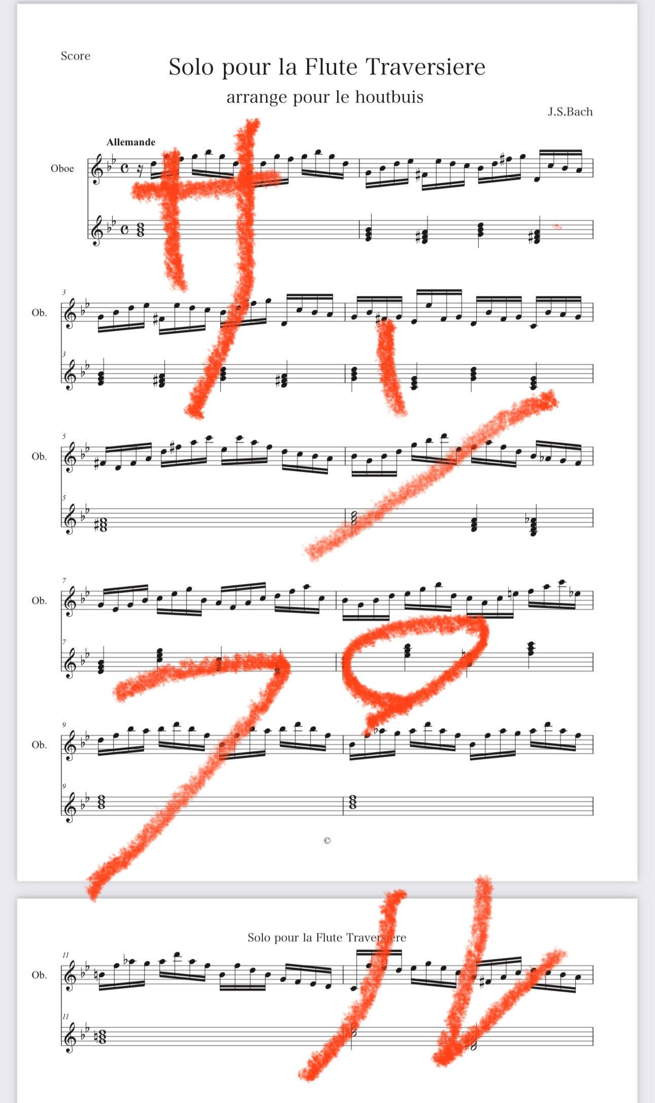 オーボエリード製作練習用、舟型ケーン10枚セット | 主に絹糸
