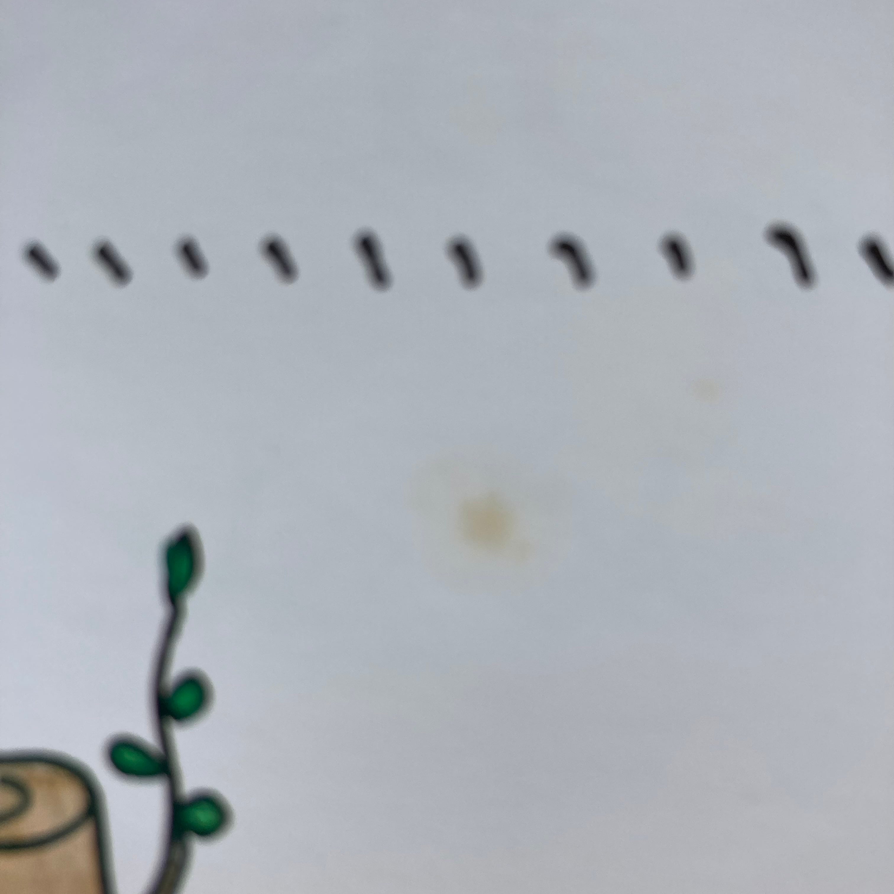 そらいろのたね&The Sky Blue Seed 2冊セット