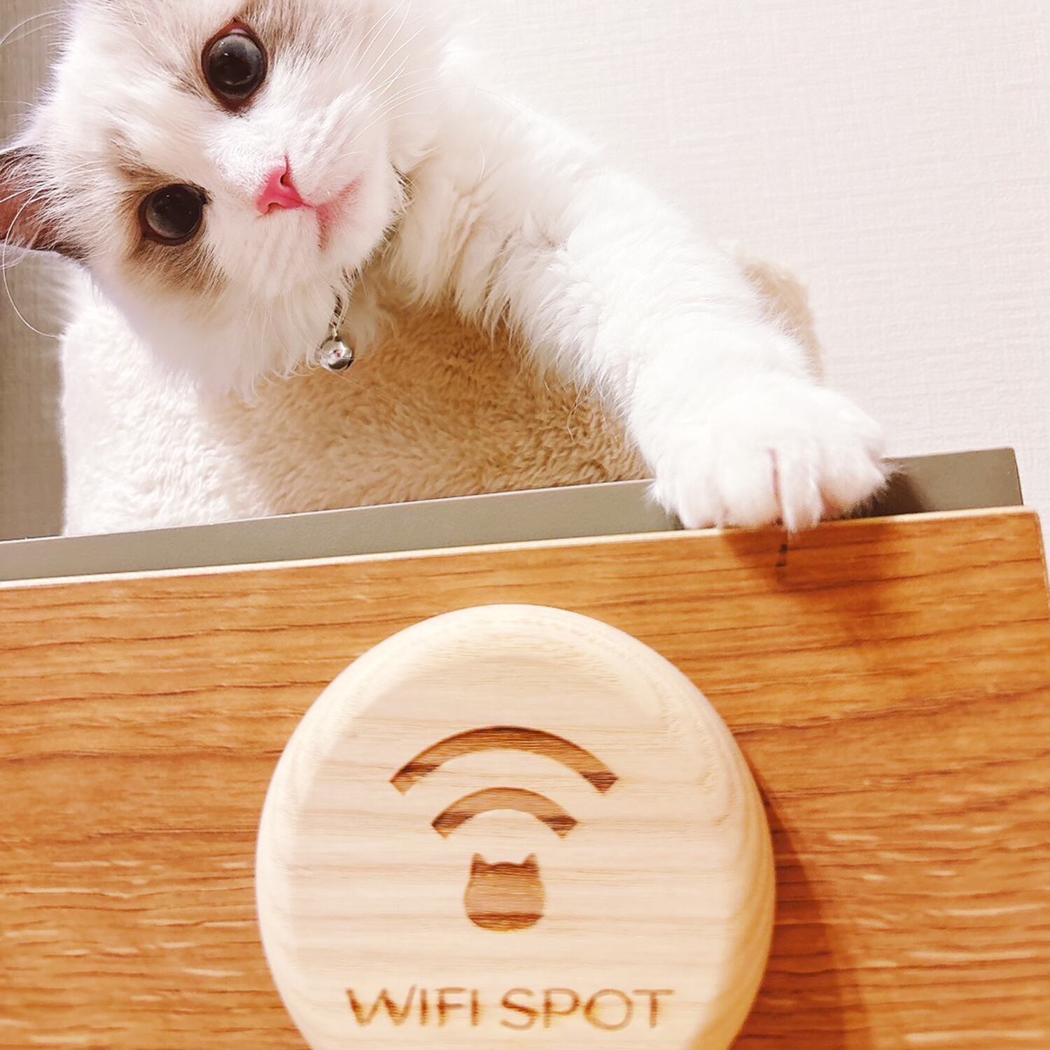 KATOMOKU 猫木プレート ホワイトアッシュ np-04 RESTROOM | 加藤木工
