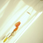 Orange Lemon Tart - アゲートヒーリングチャイム / Agate Sun Catcher Wind Chime 127