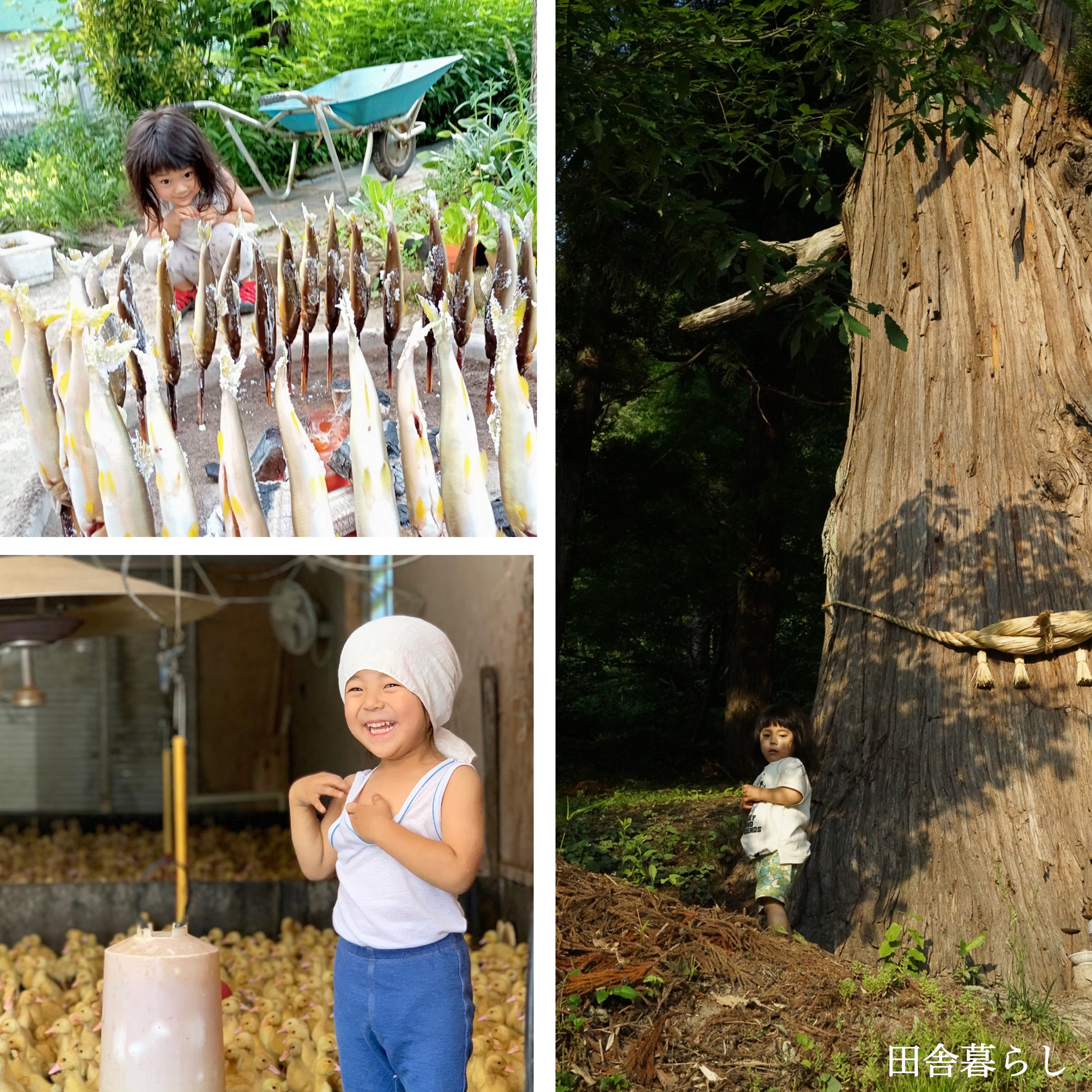 【鴨川ノ鴨】 Le Un 鮒鶴京都鴨川リゾート (京都市) の口コミ74件 - トリップ