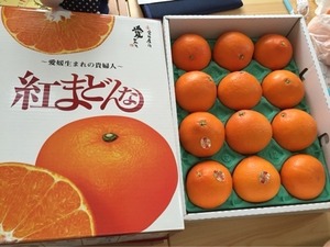 紅まどんな 2Lサイズ