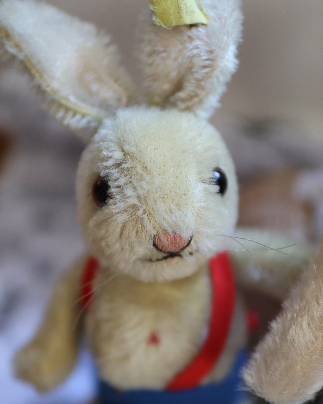 アンティーク シュタイフ うさぎ Yello