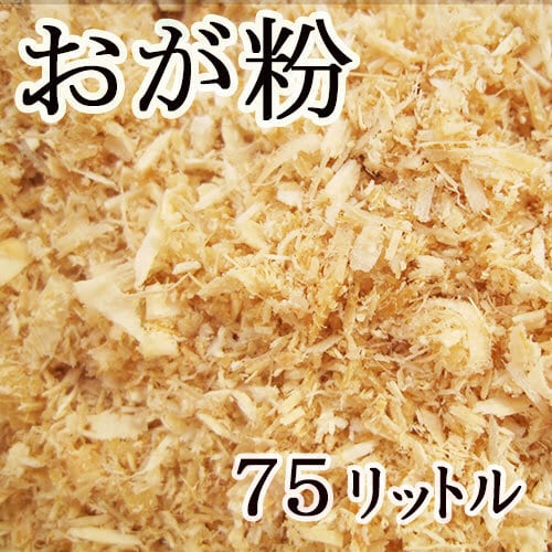 adfe173331a8f7cea3cca2cad44f60