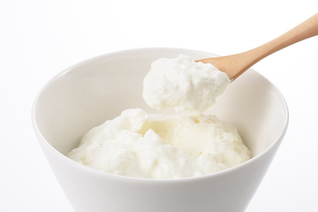 【新春セール】ヨシカワ 醗酵食堂 水切りヨーグルトポット SJ1884