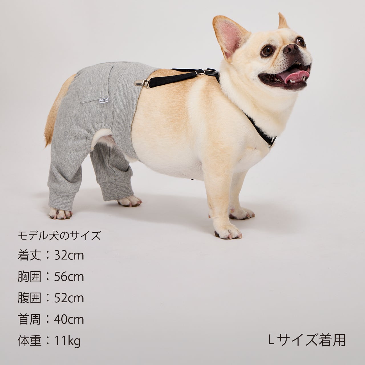 SUSPENDER PANTS（L.XL） サスペンダーパンツ | MANDARINE BROTHERS