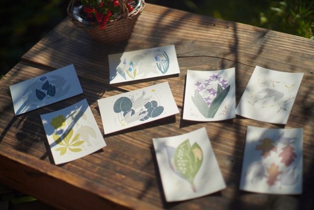 asakozirusi 　ポストカード