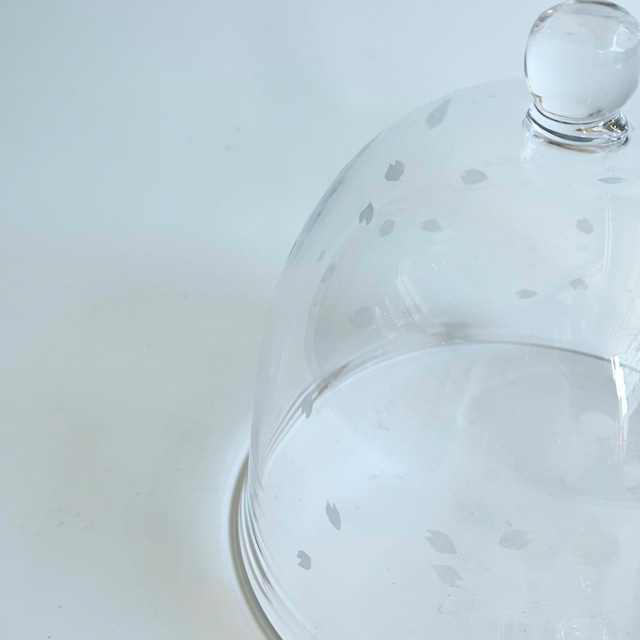 有松啓介 ドームおひなさま 桜