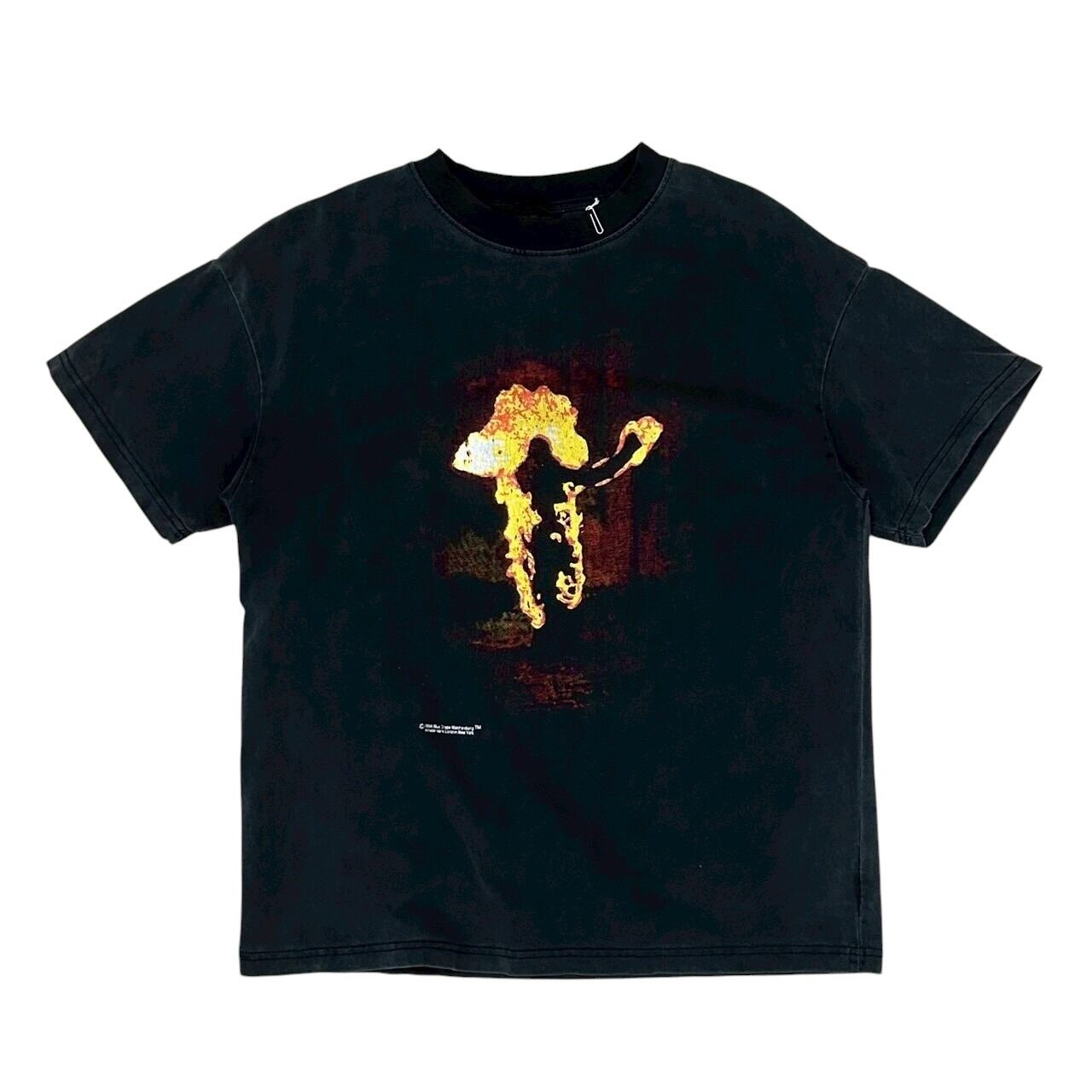 EVANESCENCE エヴァネッセンス Tシャツ ロック バンド 音楽 古着 