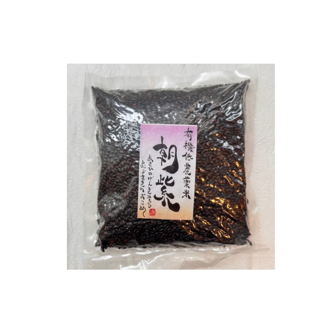 黒米（朝紫）