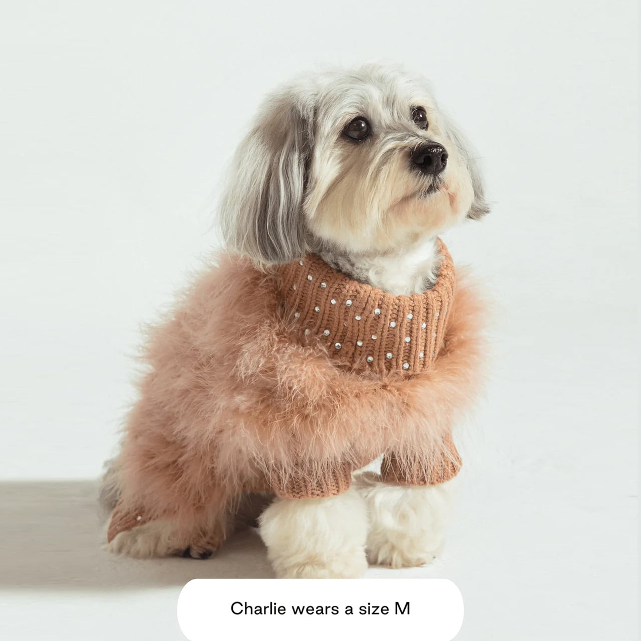 Christian Cowan x maxbone Gemstone Jumper(Peach Brown) / maxbone