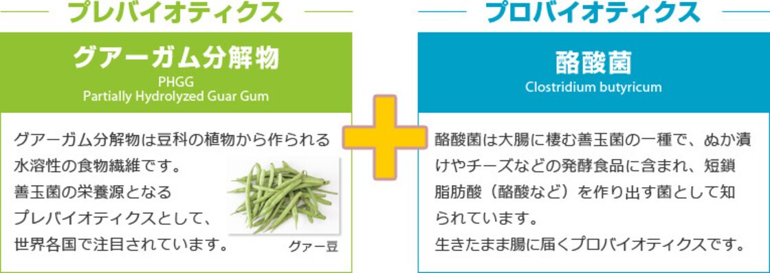 酪酸菌入り】サンファイバープラス | PAY ID