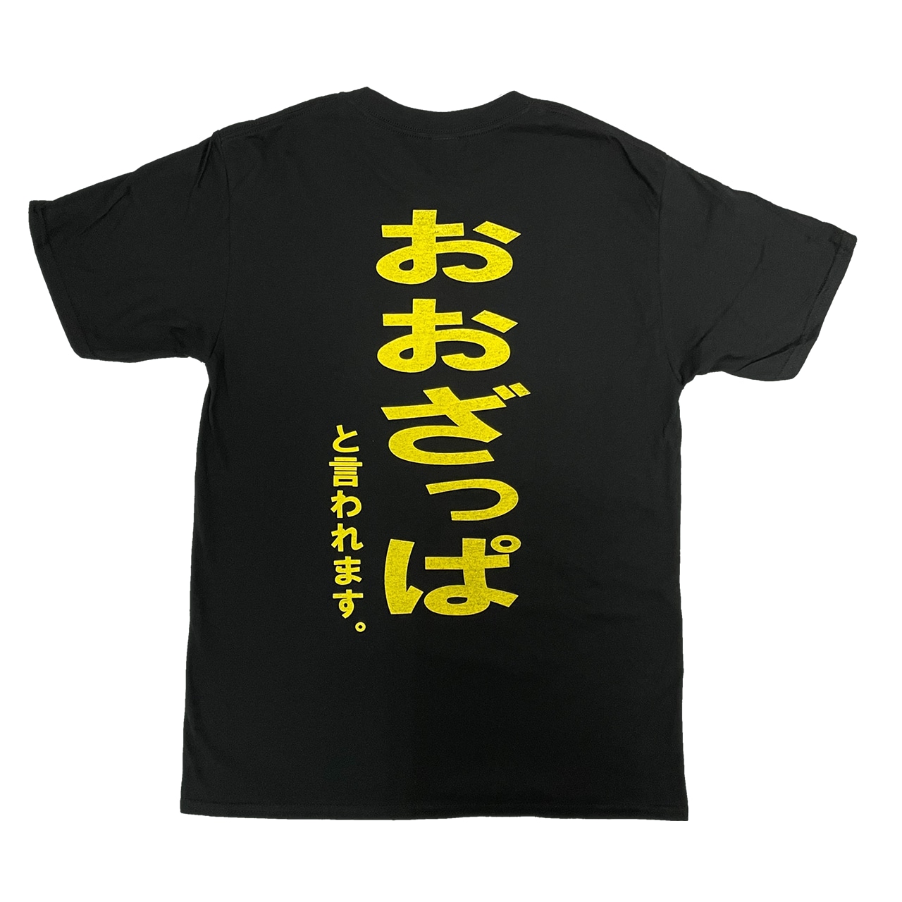 ぜんぶ雑/おおざっぱと言われます。 おもしろTシャツ 文字T バカ ぜんぶ雑/おおざっぱと言われます。 おもしろTシャツ 文字T バカ