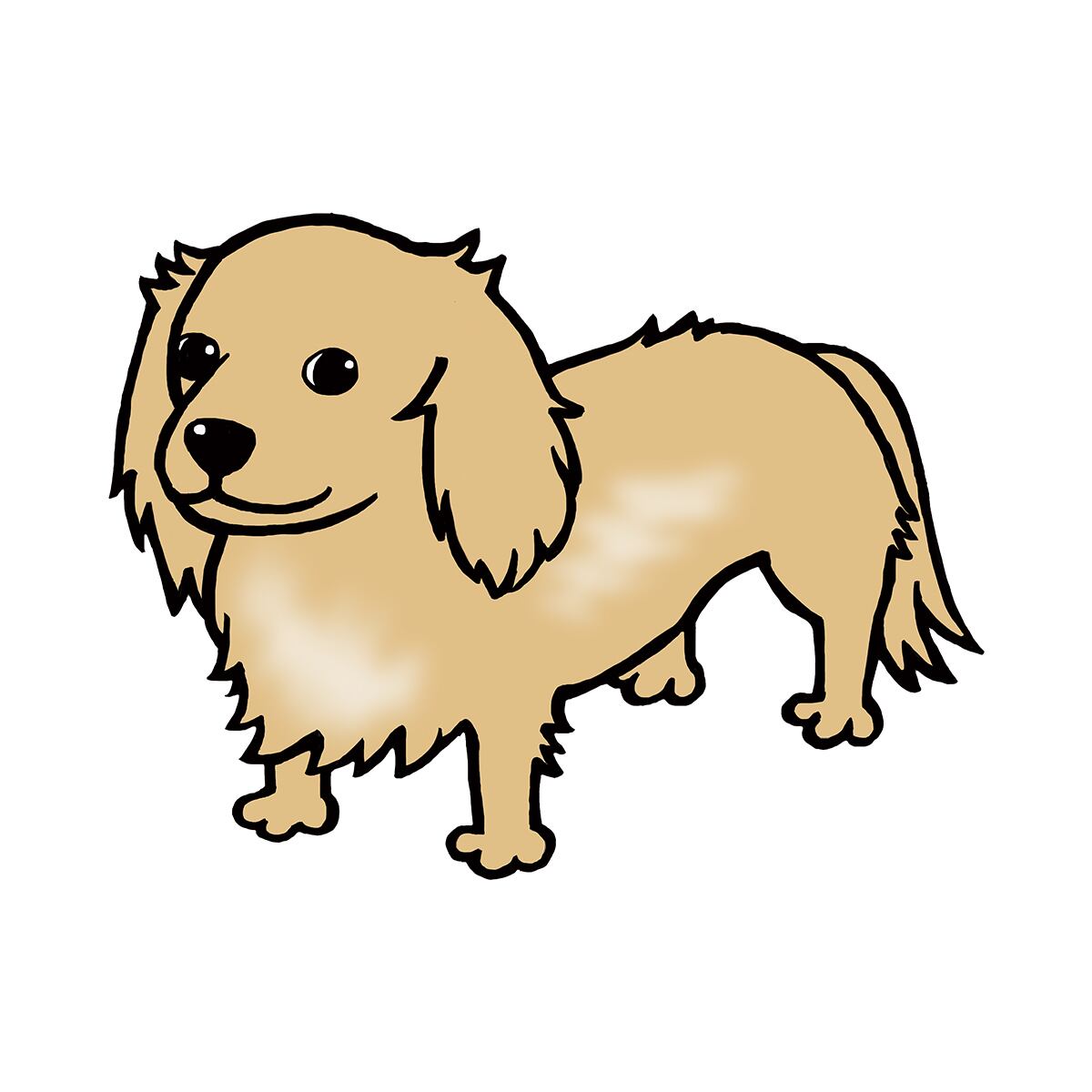 ワンコ ミニチュアダックス Tシャツ dog301f ティーシャツ ギフト プレゼント 犬 イヌ ワンコ おもしろtシャツ 日本犬