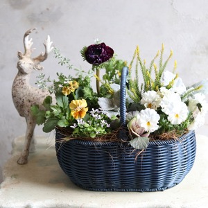 冬から春に楽しむ寄せ植え　アネモネファネモスとビオラの春まで綺麗なバスケットの寄せ植え　お正月にオススメ　届いてすぐ玄関に飾れる 　プレゼントにもオススメ　