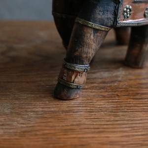 インドからやって来た、プリミティブな象 9