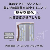 セグレタ シャンプー うねる髪もまとまる つめかえ用 340ml