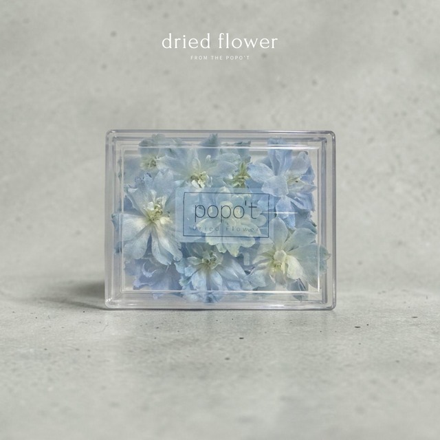 \希少品種/デルフィニウム　コスモ