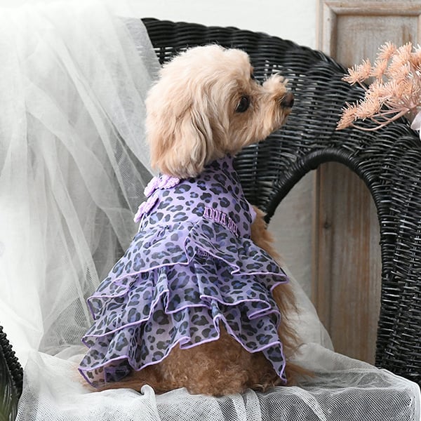 ANNA SUI（アナスイ）ヒョウ柄チャイナワンピース XS/S/M/L/2L/DM 犬服