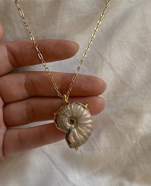 order ammonite necklace