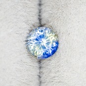【946】バイカラーサファイア スリランカ産 0.50ct