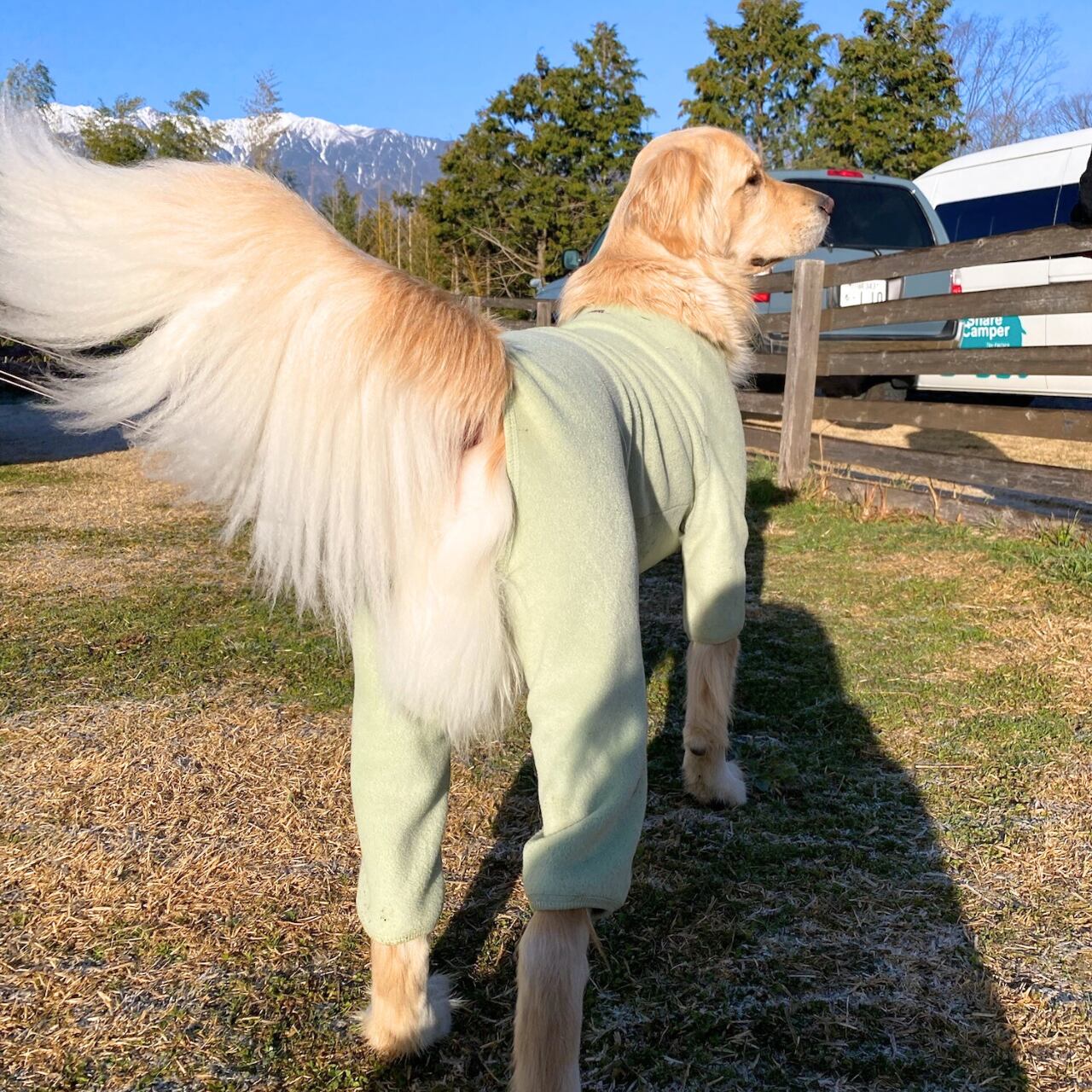 THE DAY Go-Dog Fleece <2Lサイズ>