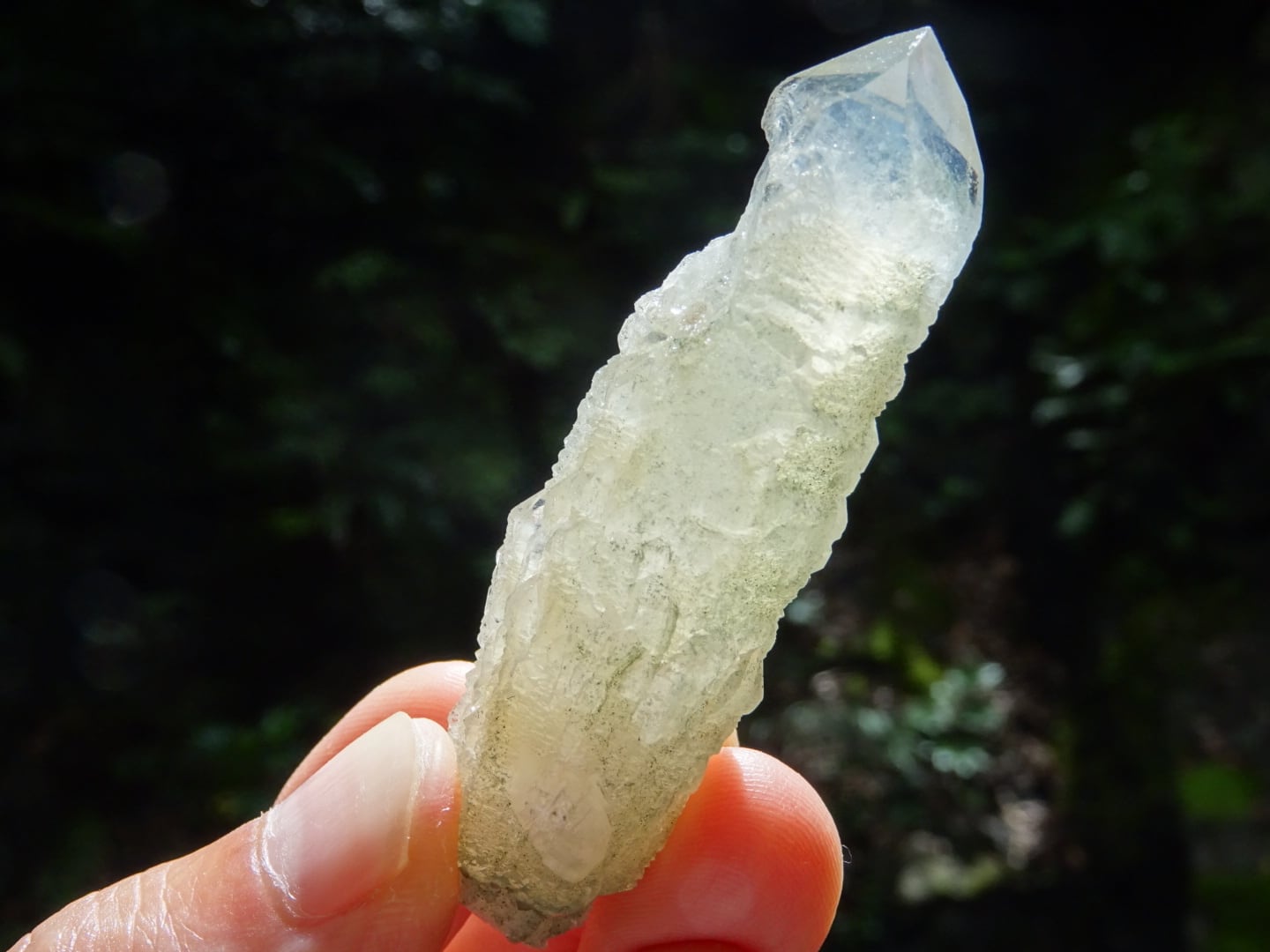 Botanical Crystal~木霊~ | 虹石屋