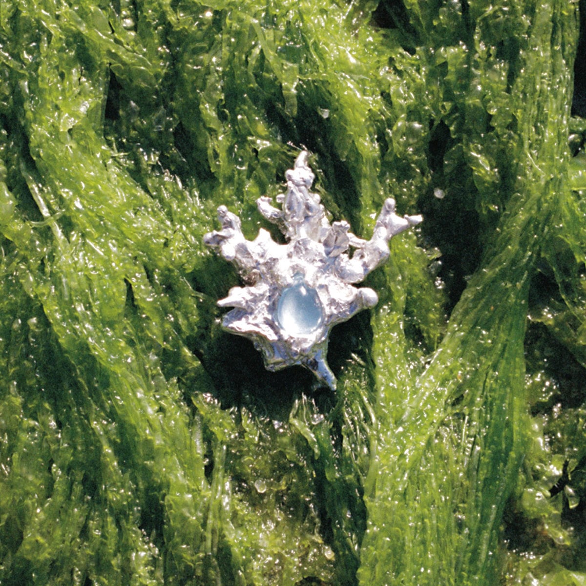 Dream Crease / In The Tall Grass / Grotto(40 Ltd Blue 7inch)