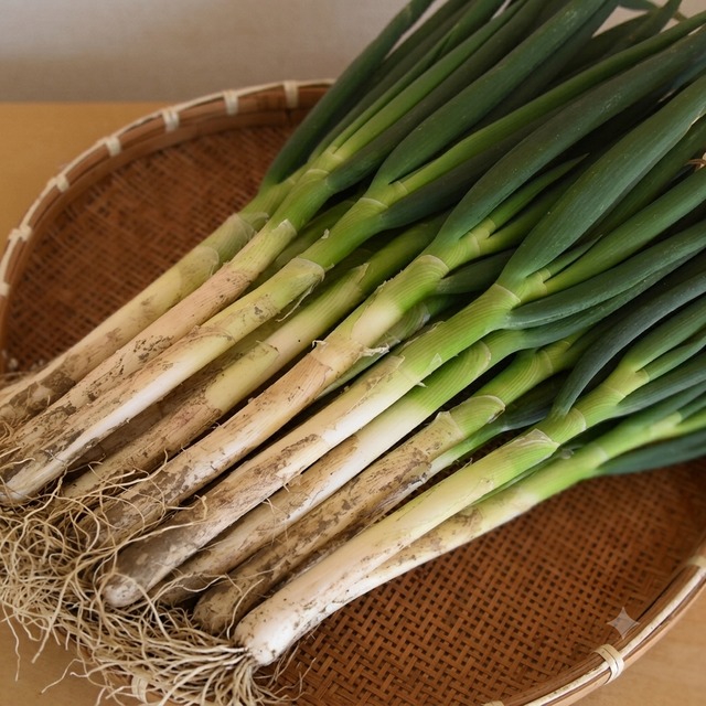 深谷蜜ねぎ5キロ