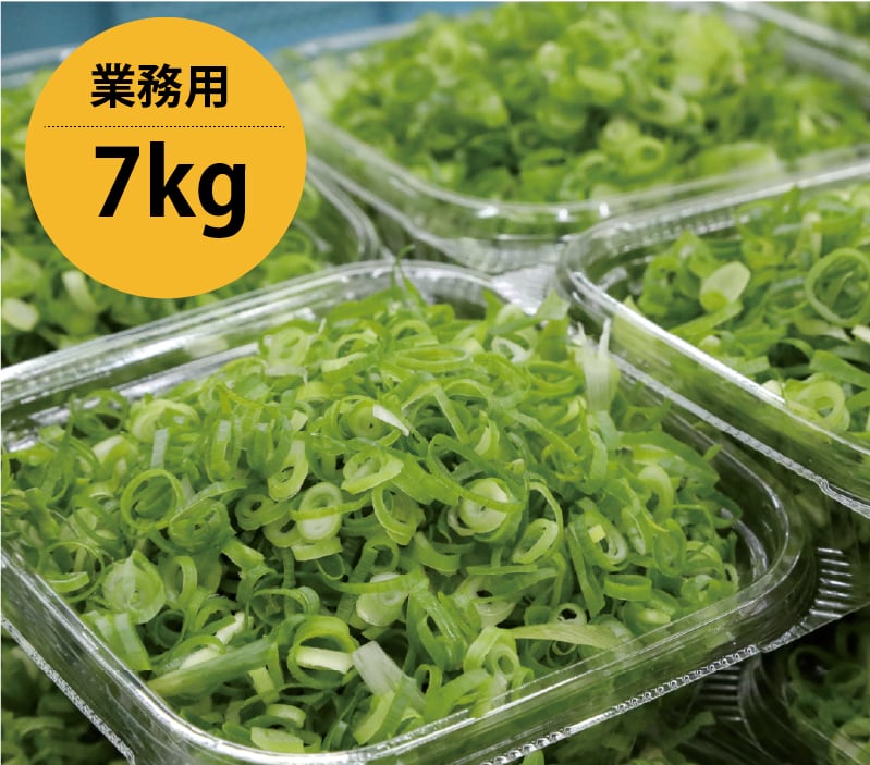 中古品　プロシェフ　中部コーポレーション　ネギ　カット　業務用 中古品 プロシェフ 中部コーポレーション ネギ カット 業務用