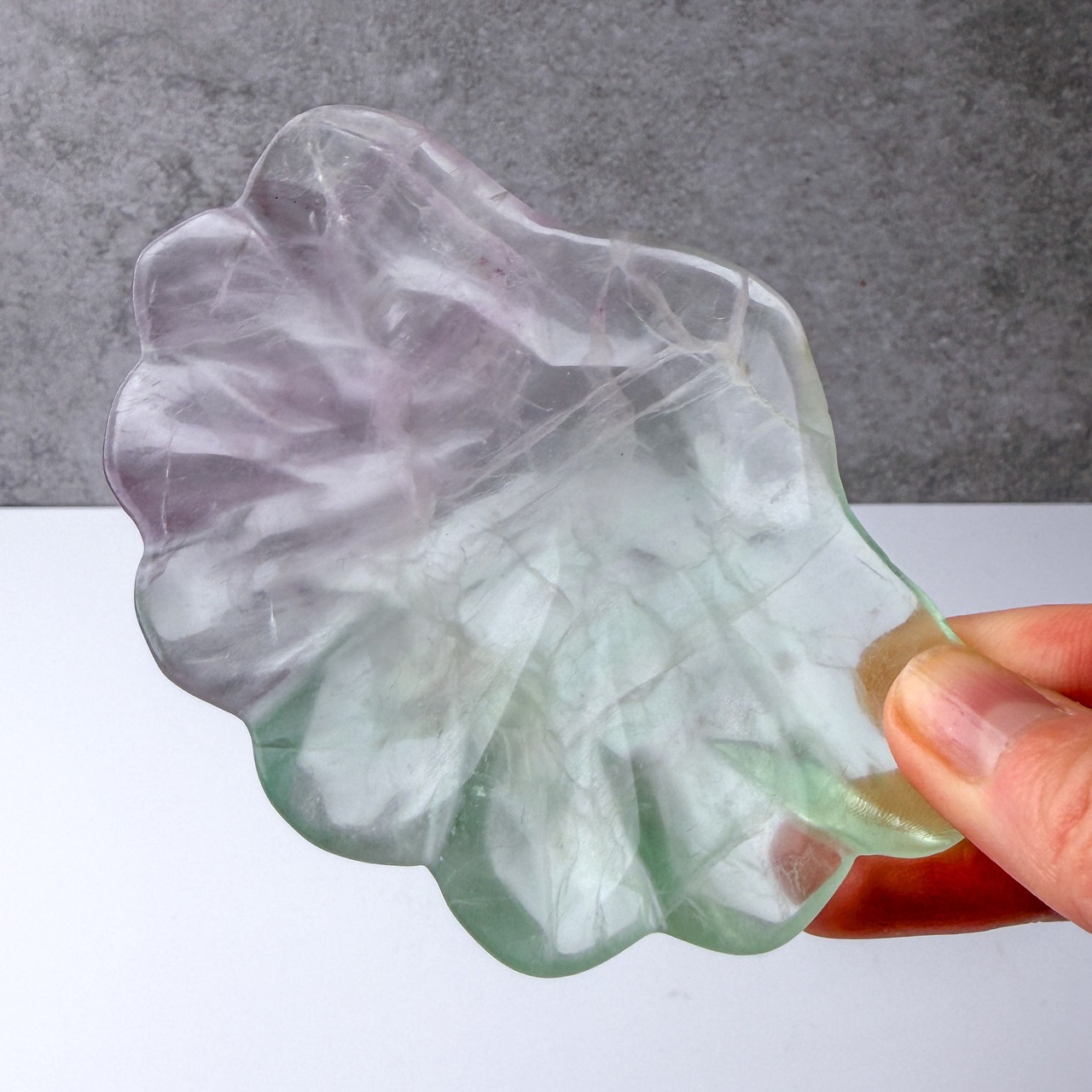 フローライト シェル プレート ＊ Fluorite ＊ 天然石