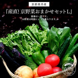 きよしファーム新鮮お野菜セット【Lサイズ】