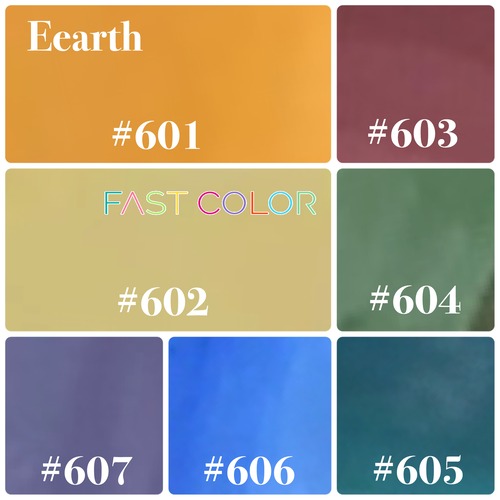 【Earth】601〜FAST COLOR　各5g×7 color   アース7色