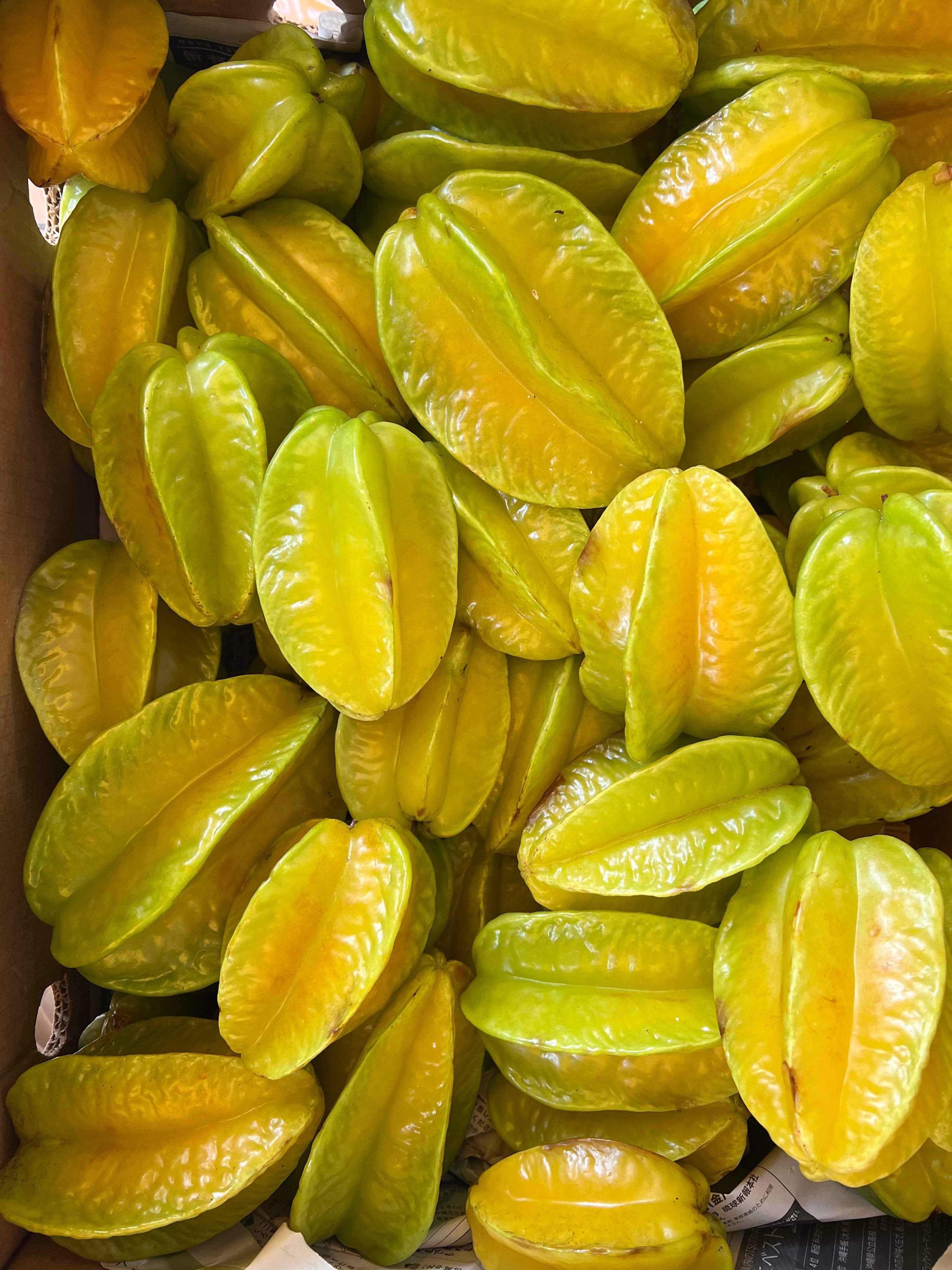 Húng quế | xuxu93