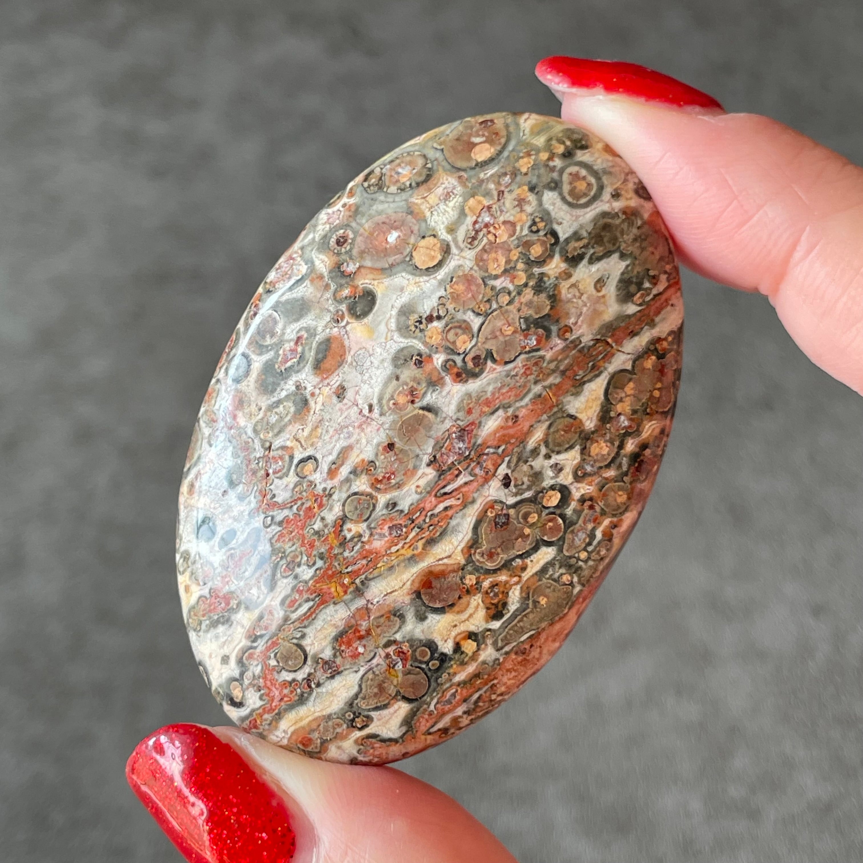 Leopard Skin Jasper レオパードスキンジャスパー|palm パーム③|天然石 パワーストーン 鉱物 gem stone