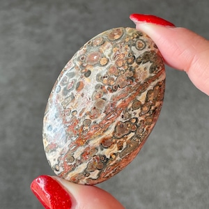 Leopard Skin Jasper レオパードスキンジャスパー|palm パーム③|天然石 パワーストーン 鉱物 gem stone