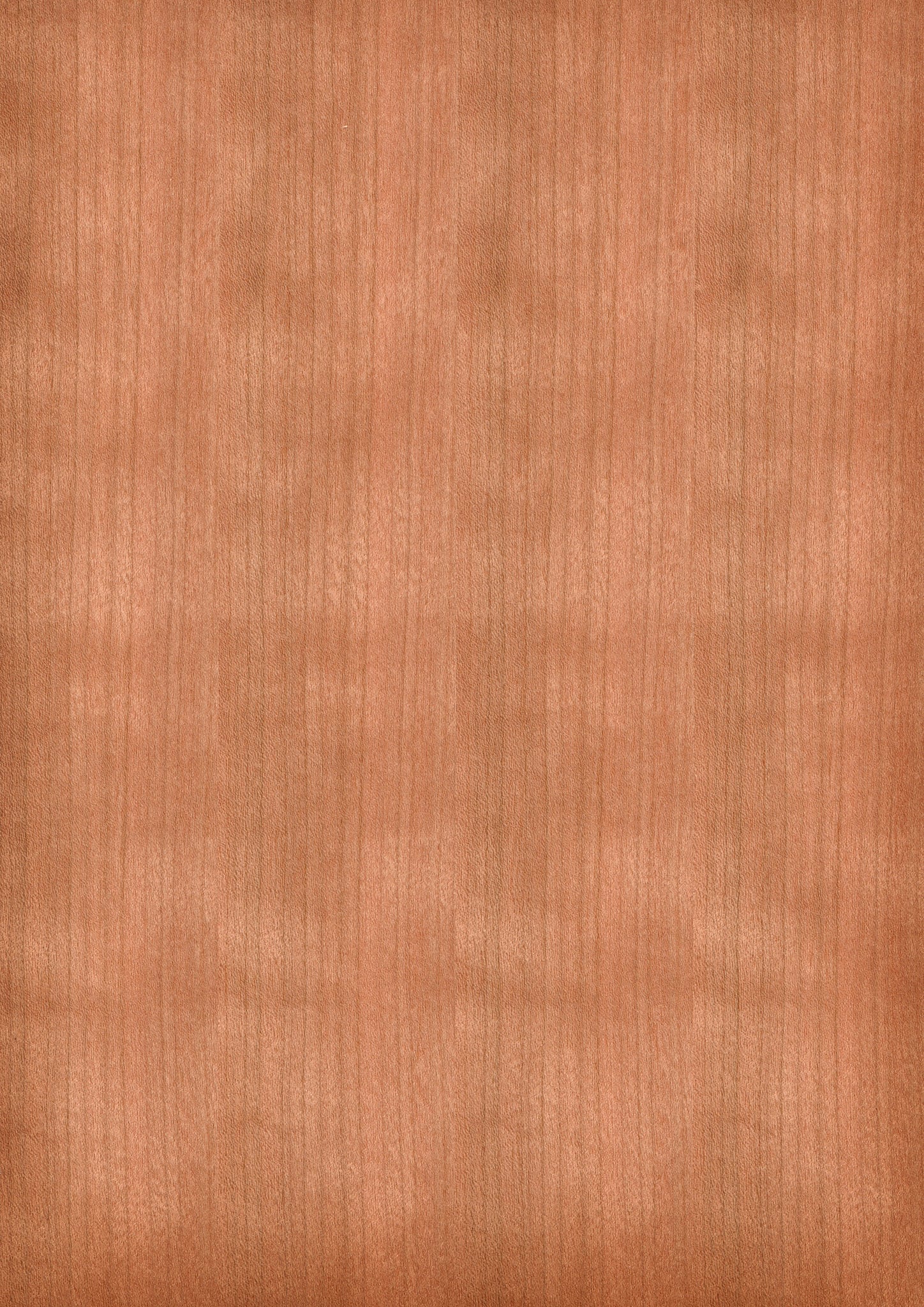 ae49ebdf2c1c7605d74a8adedece82