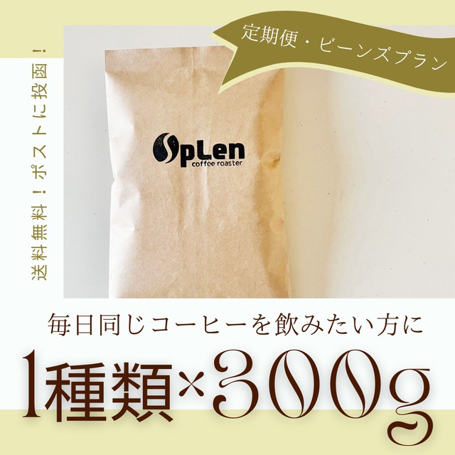 【定期便・ビーンズプラン】月替わりセット3種類×100g【送料無料】